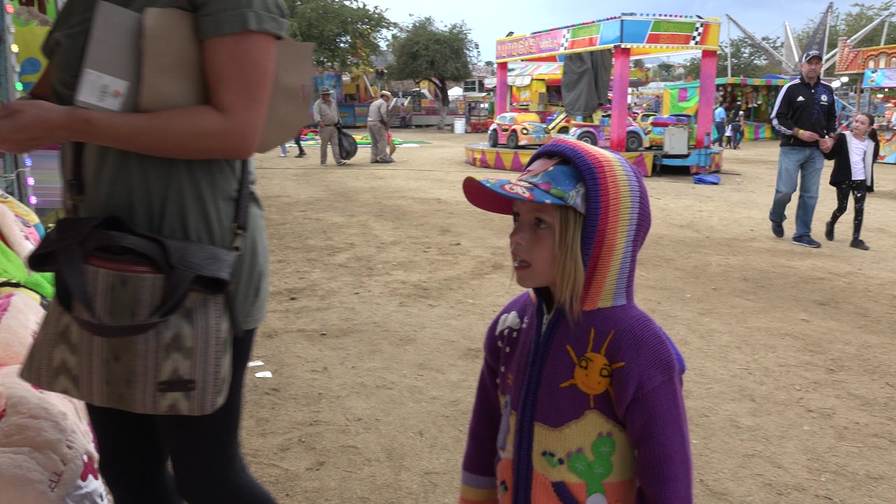 Young girl in a purple hoodie at a fairground beside a cropped adult woman.