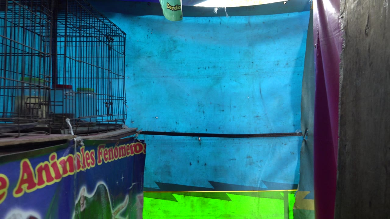 Wire cages above a colorful animal exhibit banner against a blue wall.