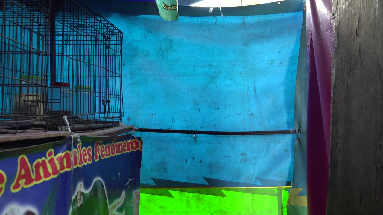 Wire cages sit above a partially cropped Spanish banner in San Jose del Cabo, Mexico, with a dark wooden post at right, blue wall panels, green lower wall, and no visible people.