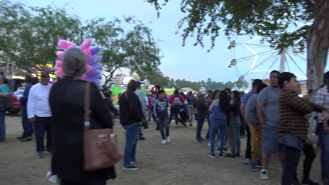 Crowded fairground with cotton candy and Ferris wheel in the background.