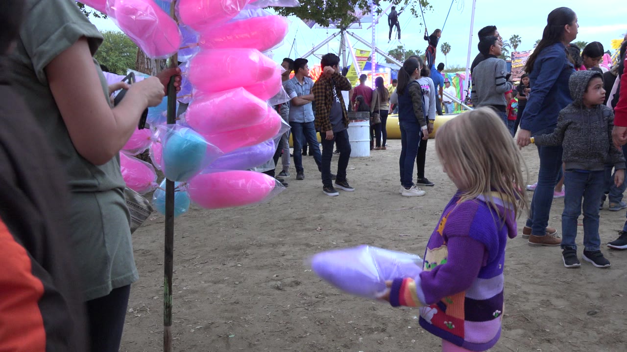 Young girl holding purple cotton candy near pink cotton candy bags at a fair.