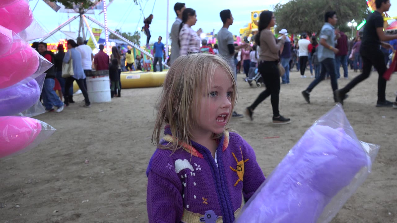 Young girl holding purple cotton candy at a carnival.
