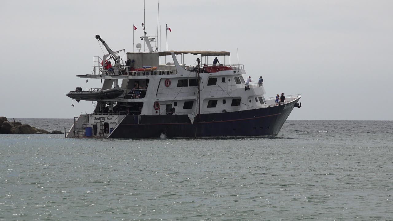 Passenger boat floating offshore in San Jose Del Cabo, Mexico, with a white cabin, dark hull, rear platform, small flags, distant people, and low rocks behind the stern area.