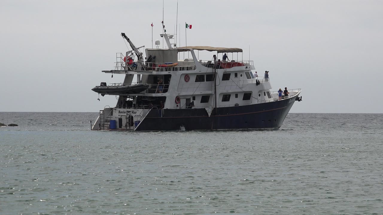 Black and white boat on open water under a gray sky.