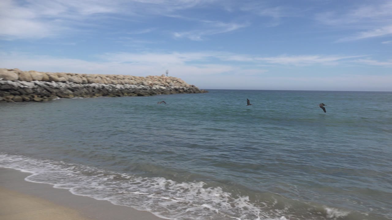 San Jose Del Cabo beach frame with small waves at the sand, a rocky breakwater at left, birds over the blue-green water, thin clouds overhead, and no visible people.