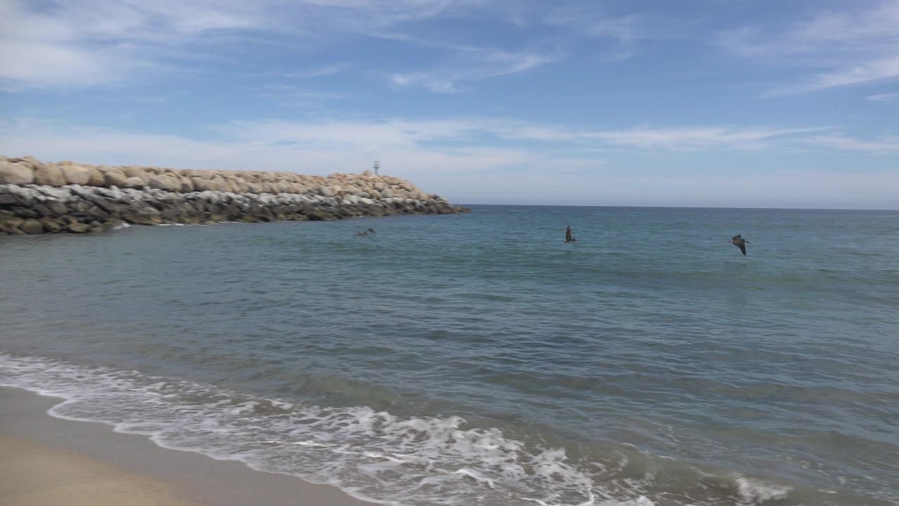 San Jose Del Cabo shoreline with white foam reaching the sand, birds spaced across the midwater, the rocky breakwater still visible on the left, and no visible people.