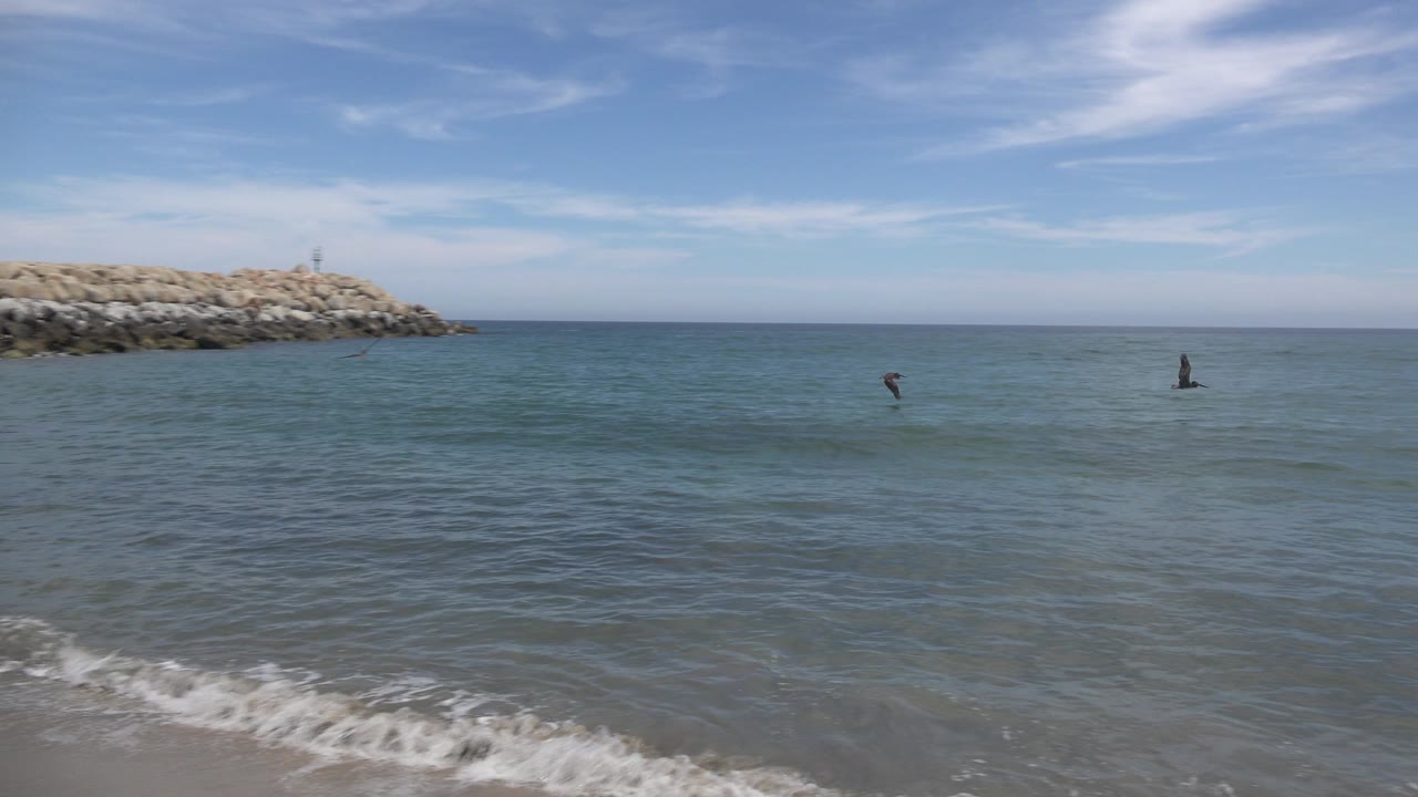 Ocean horizon with birds flying above low waves.