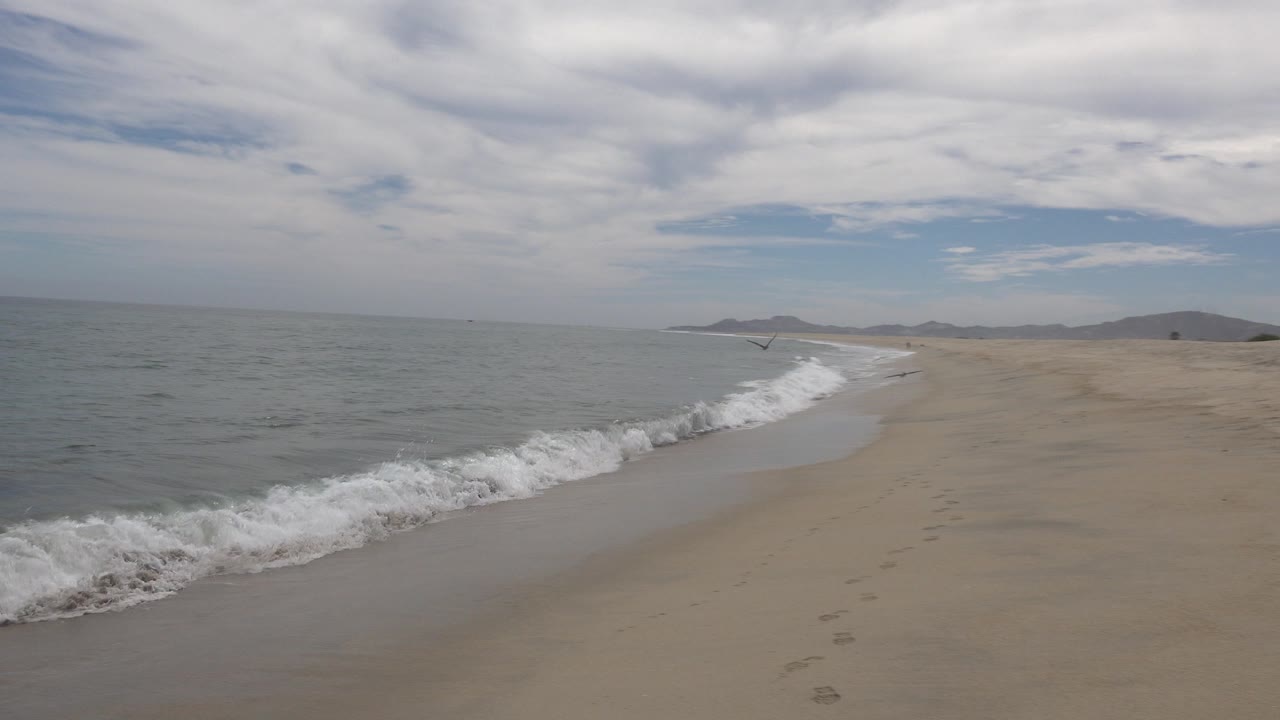 San Jose del Cabo shoreline at 0:00 with gray-green water on the left, tan sand on the right, foamy surf entering the foreground, distant hills, layered clouds, and no visible people.