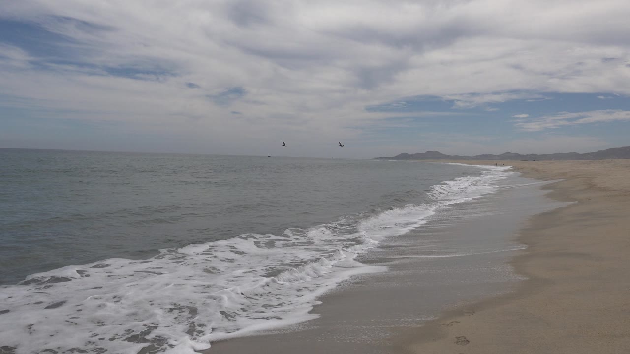 Opening view of San Jose del Cabo shoreline with white surf crossing wet sand, distant land on the horizon, seabirds in the sky, and no visible people.