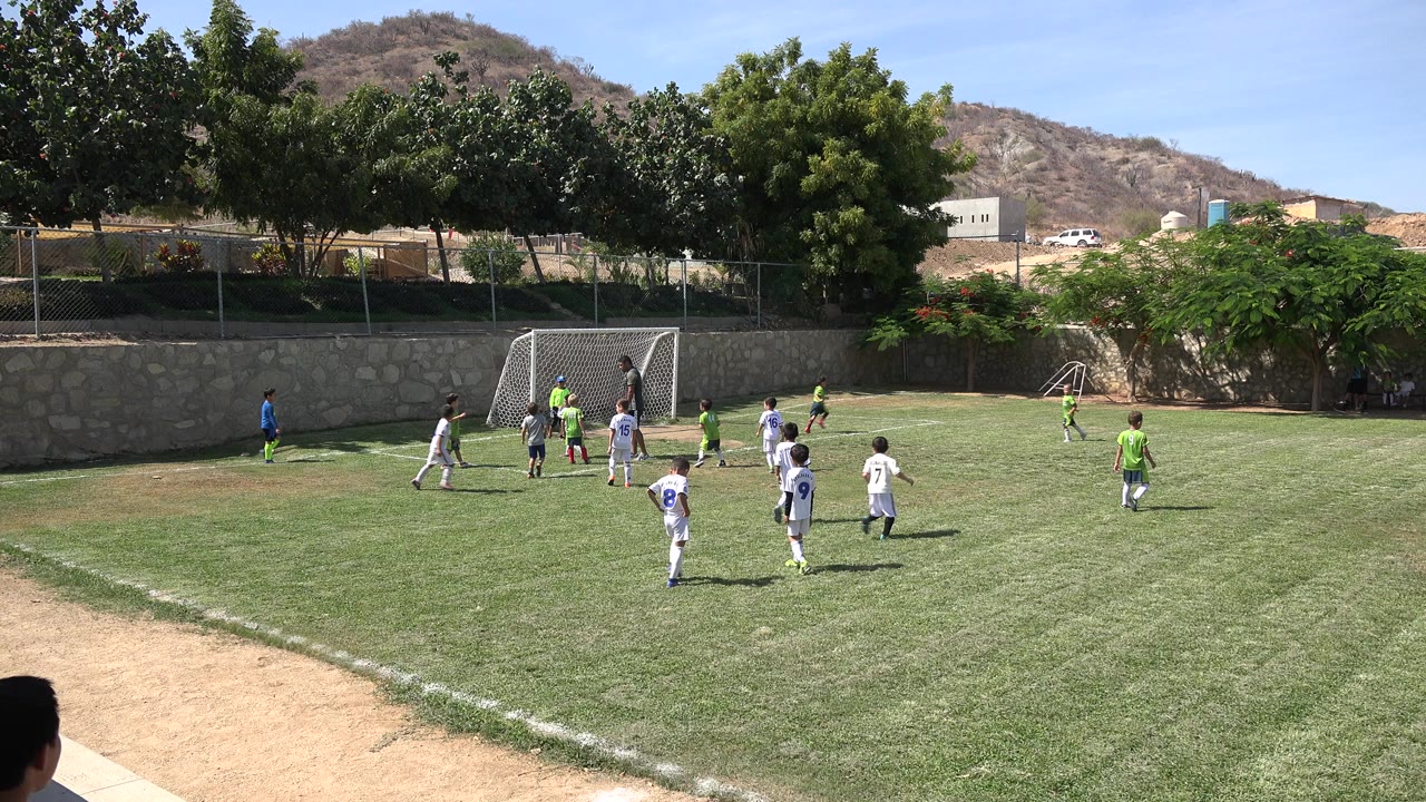 Children in white and green uniforms play soccer near a small goal on a sunny grass field in San Jose Del Cabo, Mexico, with trees and dry hills behind them.