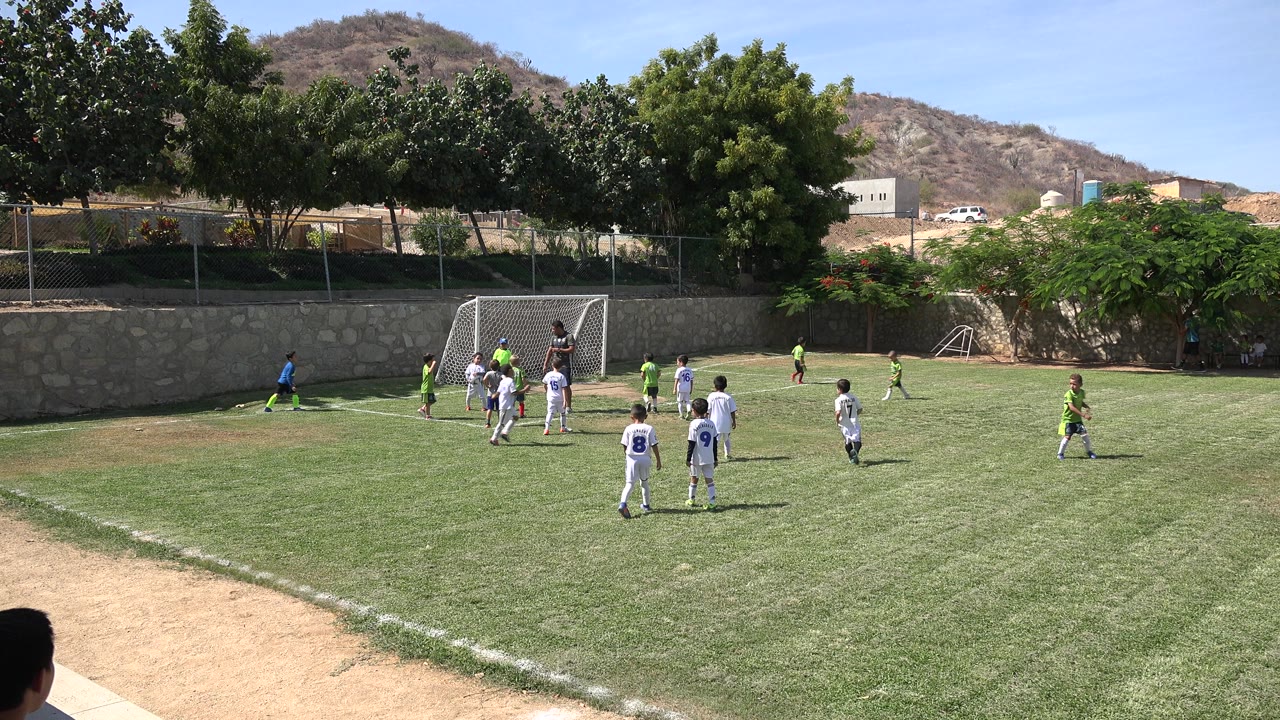 Children spread out from the goal during a soccer game in San Jose Del Cabo, Mexico, with green grass, a dusty sideline, trees, and dry hills visible beyond the field.