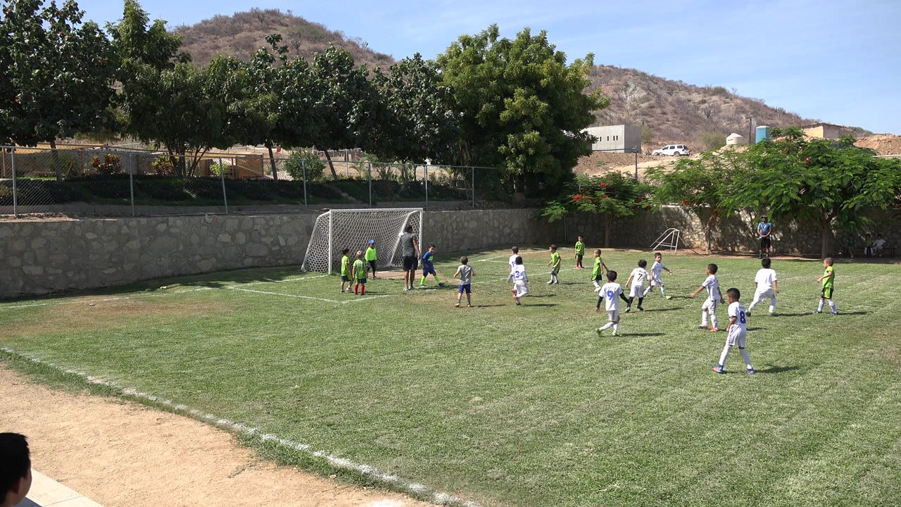 Children playing soccer near a white goal on a grass field.