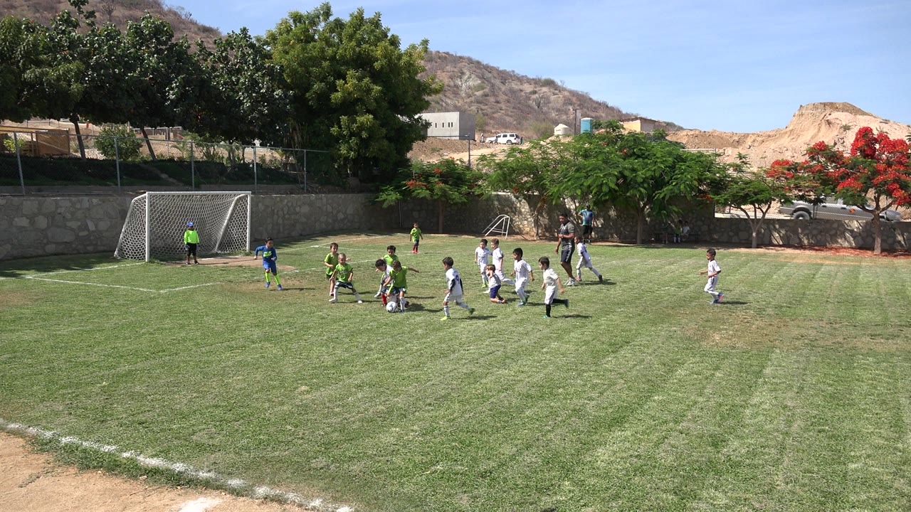 Children playing soccer on a grass field near a small goal.