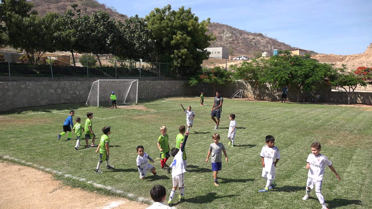 Children playing soccer on a grass field near a goal.