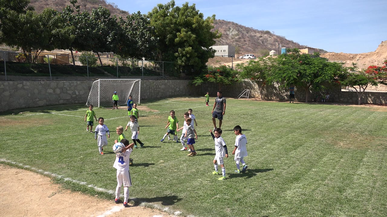 Children in soccer uniforms gather near a goal on a grass field.