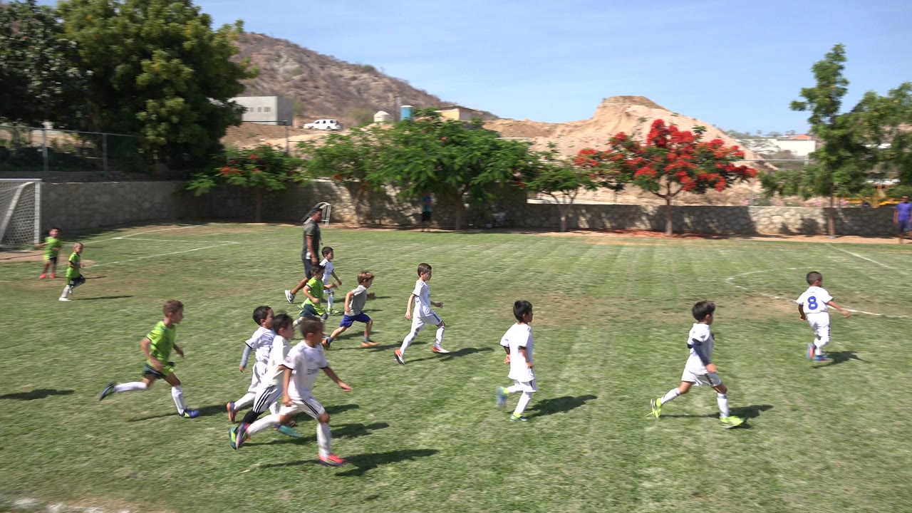Children run after a soccer ball on a sunny grass field.