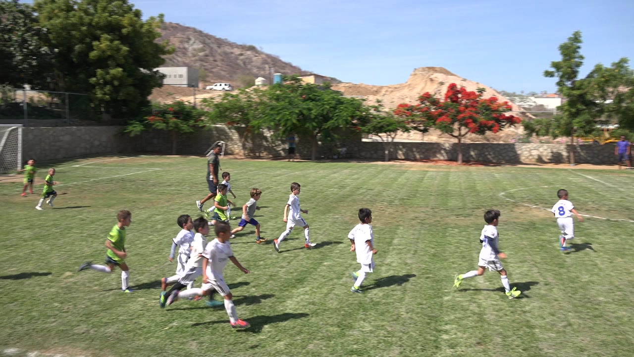 A cluster of children in white and neon green uniforms chase the soccer ball across the grass field in San Jose del Cabo, Mexico, with an adult nearby and hills in the background.