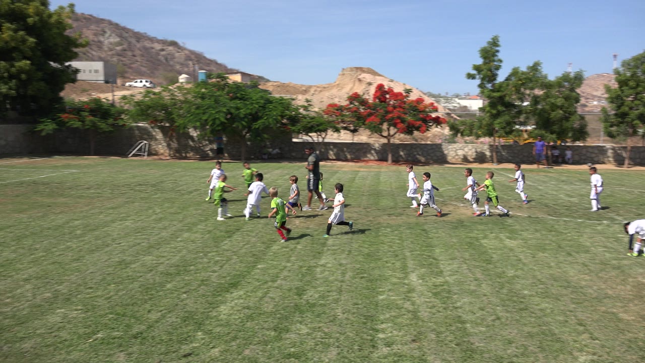 Children play soccer on a grass field near a goal.