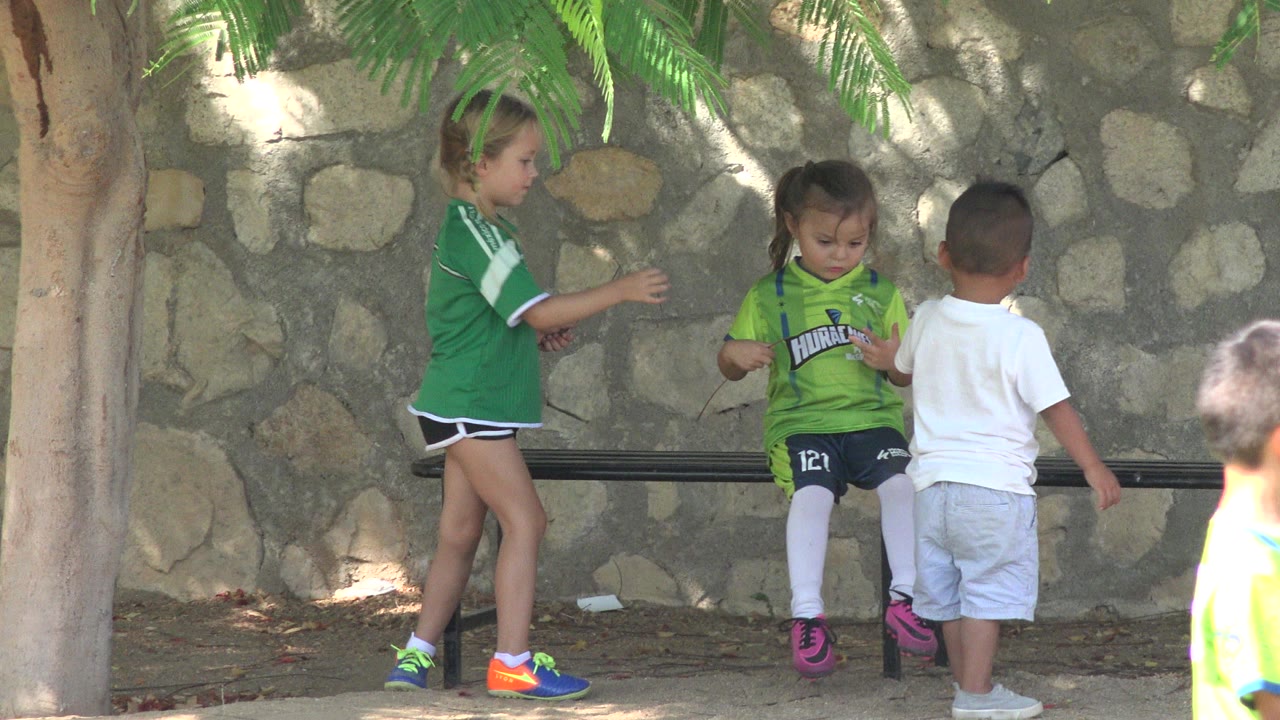 Children gathered by a black bench under trees.