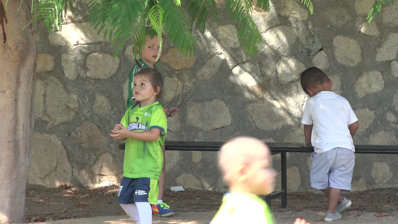 Three children near a bench under trees by a stone wall.