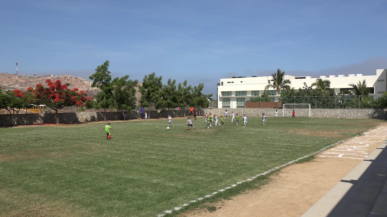 Wide soccer field with children in green and white jerseys near the far goal