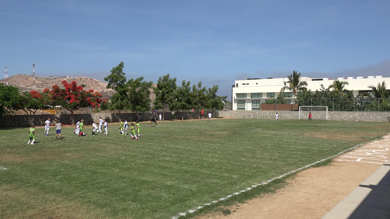 Children play soccer on a grassy field near houses and goalposts.