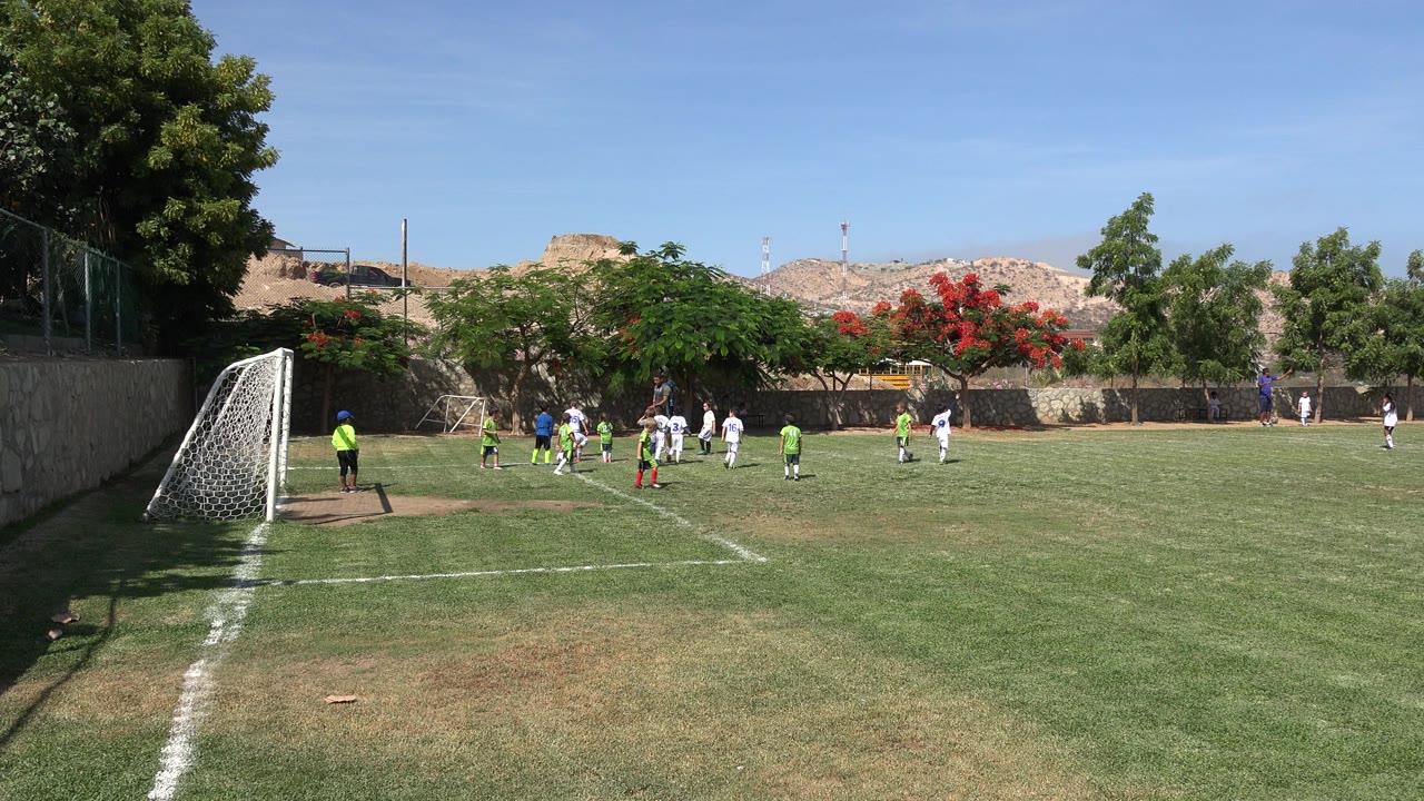 Children playing soccer near a goal on a grass field.