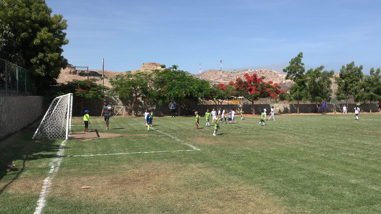 Children playing soccer near a goal on a grass field.