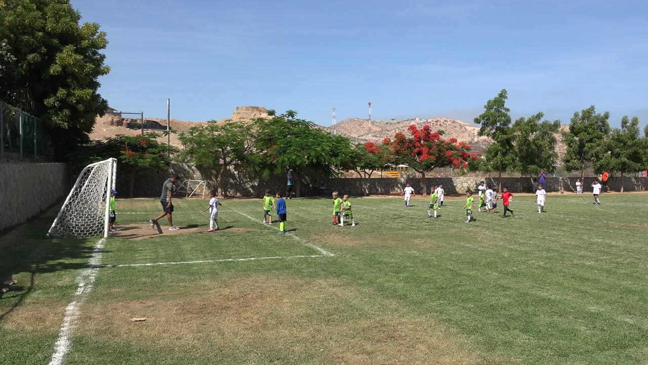 Children playing soccer near a goal on a grass field.