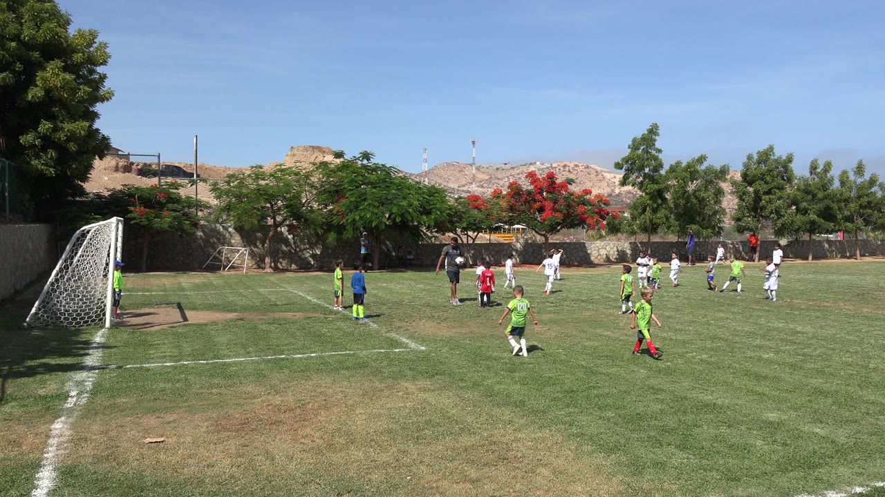 Children wait on a soccer field as a coach stands near the ball.