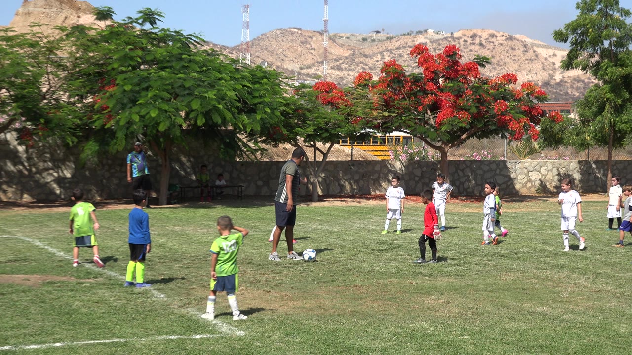The coach stands near a soccer ball while children in white and green uniforms face different directions on the San Jose Del Cabo grass field.