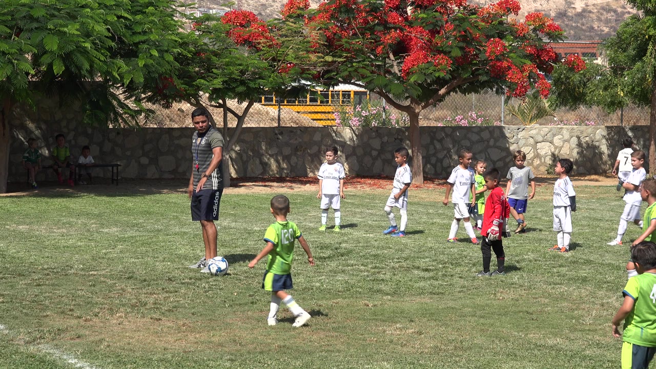 In San Jose Del Cabo, Mexico, a soccer instructor stands over a ball while young children in white and green uniforms gather on a sunny grass field.