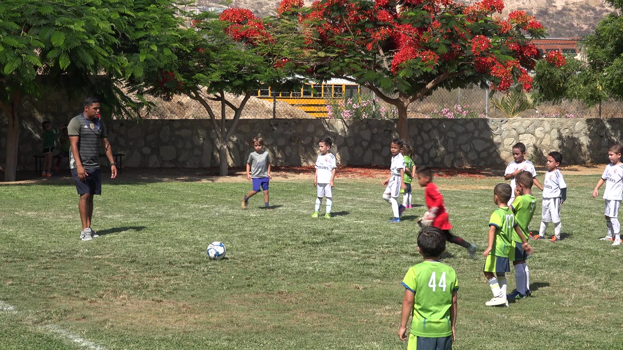 Young boys gather on a grass soccer field with an adult coach nearby.