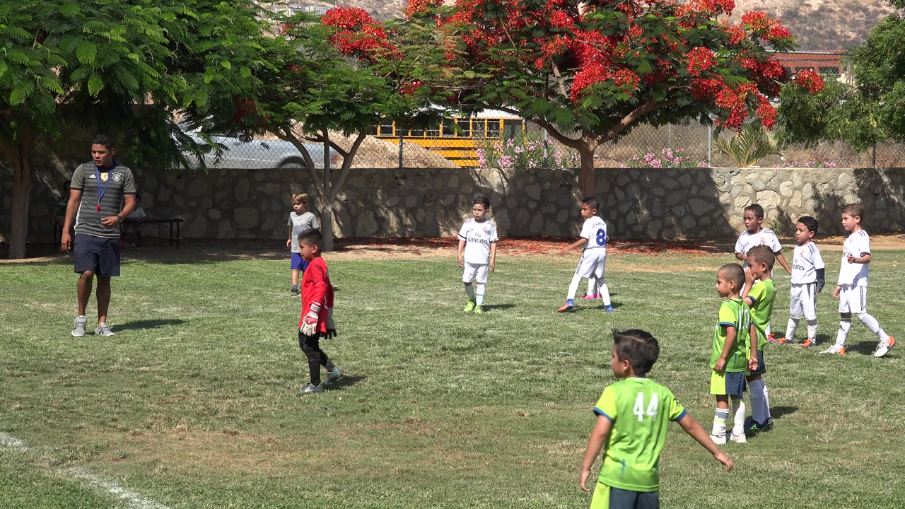 Children continue soccer play while the coach stands at the left edge of the field.