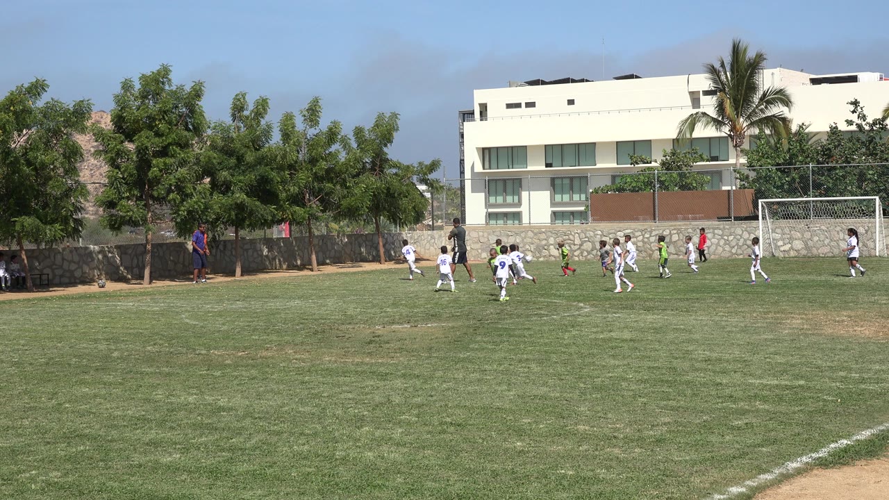 Children playing soccer on a grass field near a goal.