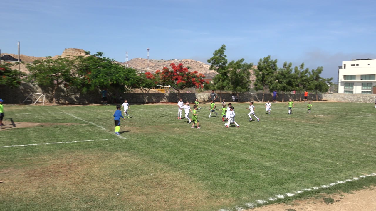 Children playing soccer on a sunny grass field.