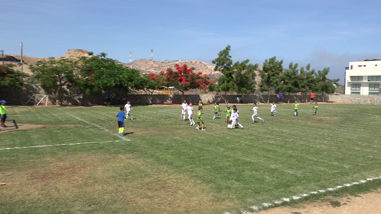 Several children chase the soccer ball near the center of the frame in San Jose del Cabo, Mexico, while a player in blue stands closer to the sideline and trees line the background.