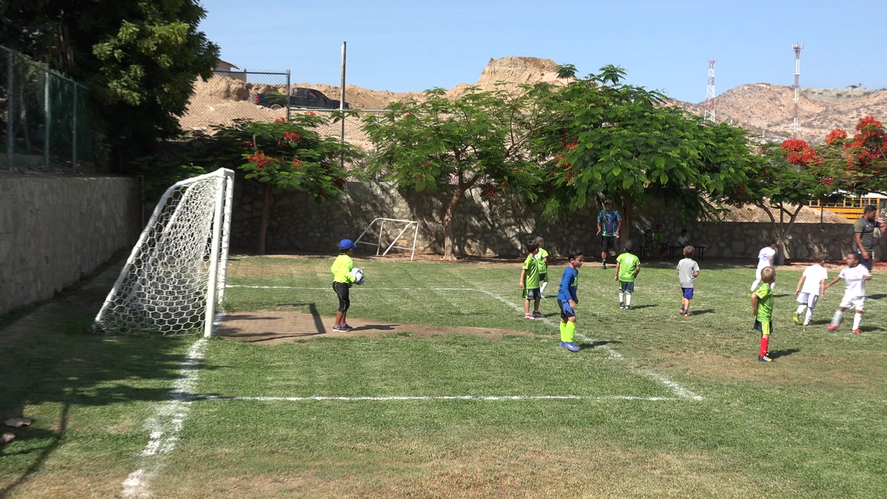 Youth soccer players near a goal on a grass field.
