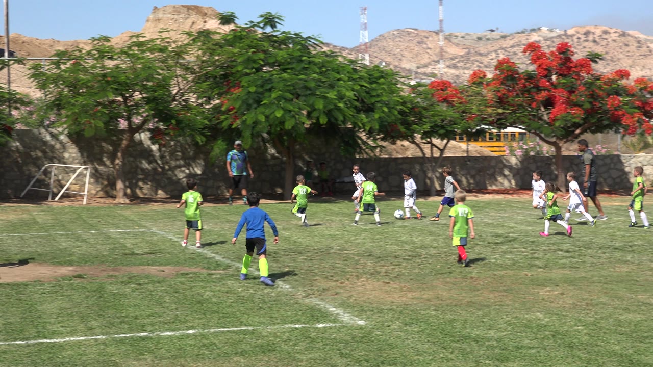 Children playing soccer on a sunny grass field.