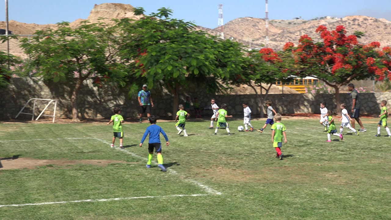 Young players gather around the ball on the grass field in San Jose Del Cabo, Mexico, with a coach or adult standing near the right side.
