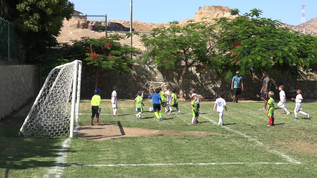 Children play soccer near a goal on a grass field.