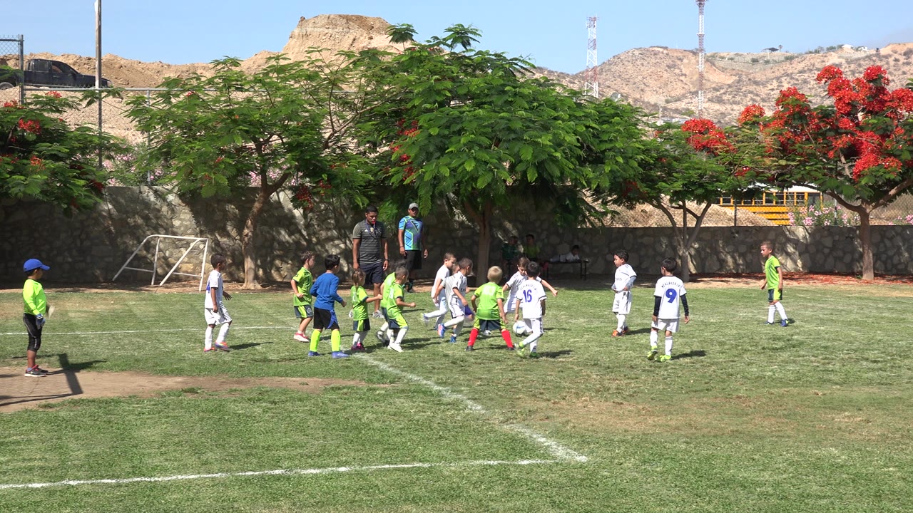 Children gather around a soccer ball on a sunny grass field.