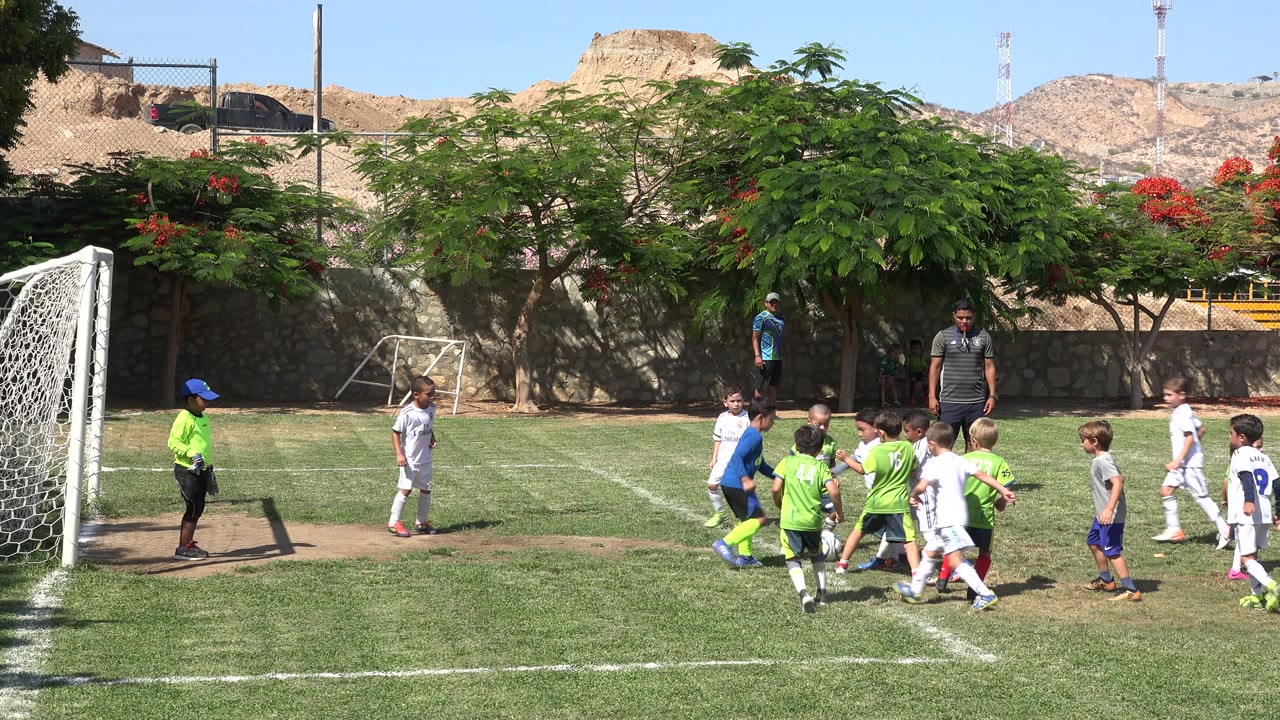Children gather near a soccer goal on a grass field.