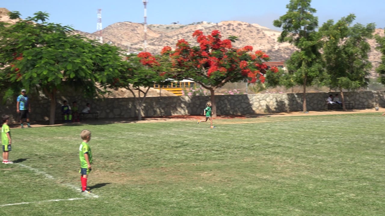 Wide soccer field with children in green uniforms and trees behind them.