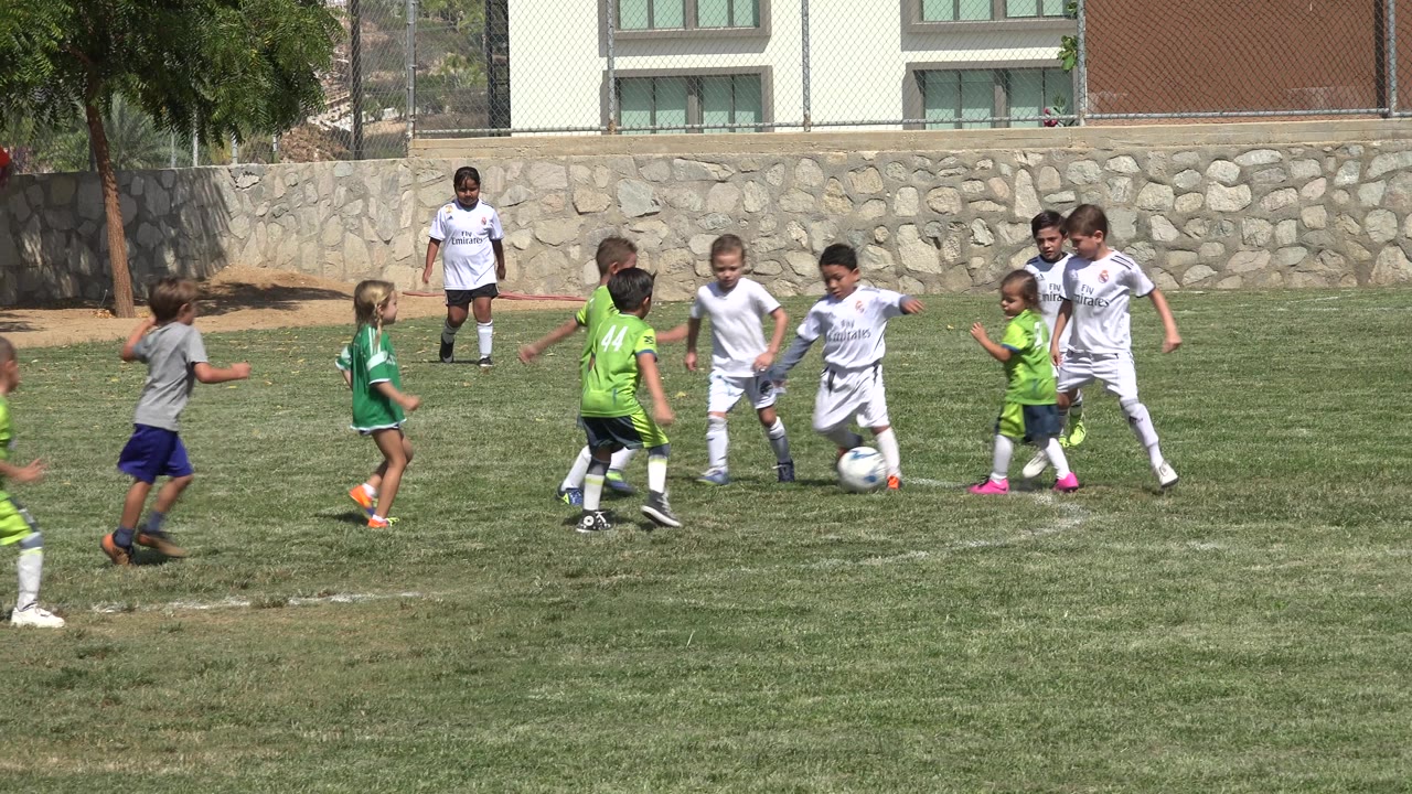 Children in white and green soccer uniforms gather around a ball on a grass field.