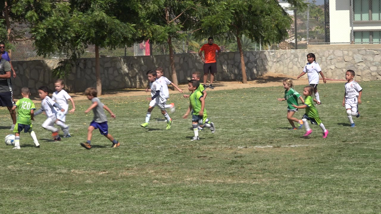 Children in white and green soccer uniforms run after the ball on a grass field in San Jose del Cabo, Mexico, with adults and trees along the sideline.