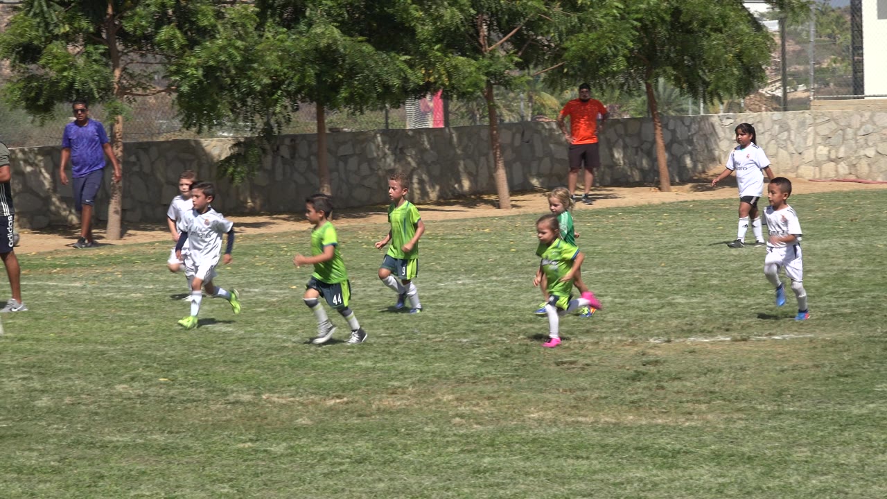 Young soccer players in green and white uniforms run together across the field.
