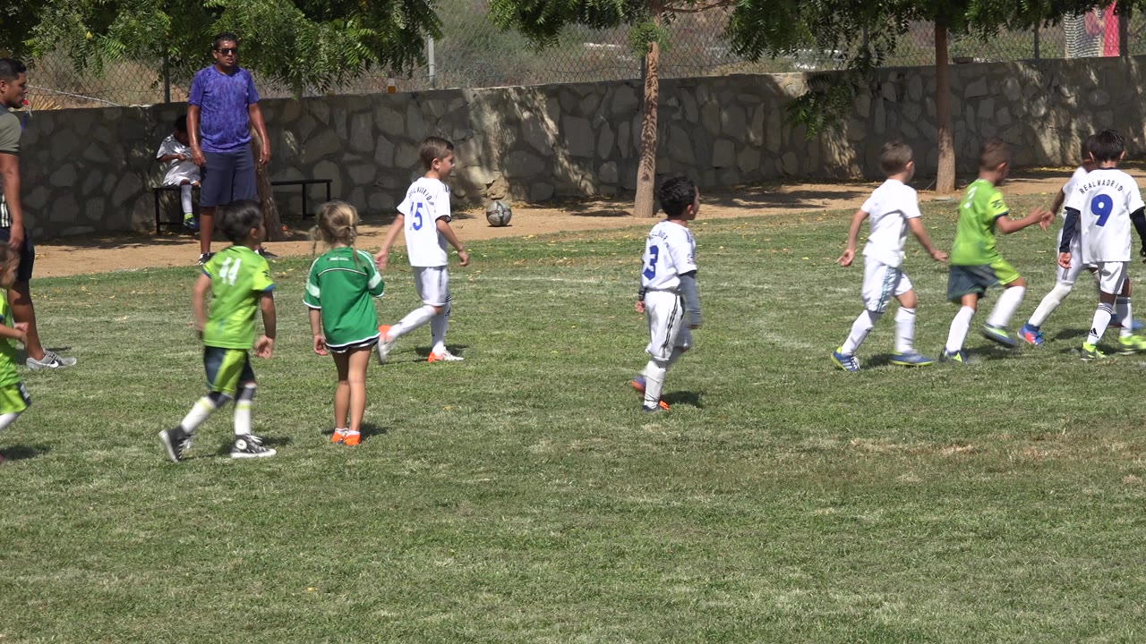 Children in green and white soccer uniforms run on a grass field.
