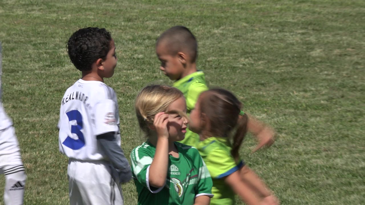 Children in soccer uniforms on a grass field