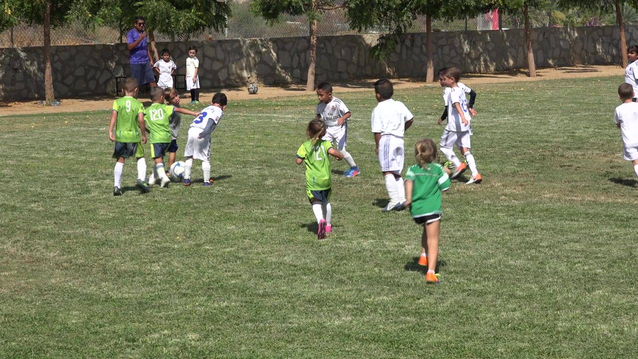 A cluster of children gathers around the soccer ball on the field.